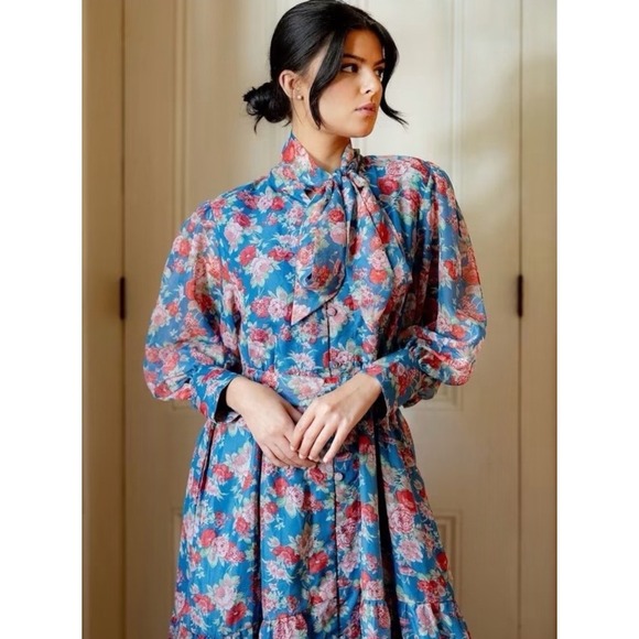 Sue Sartor Dresses & Skirts - Sue Sartor Elysee Gown Blue Garden Rose Chiffon Maxi Dress XL NWT